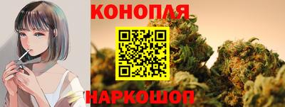 гидра Изобильный