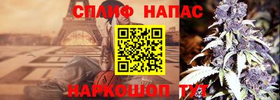мдпв Ипатово