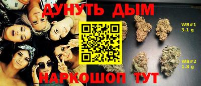 мдпв Ипатово