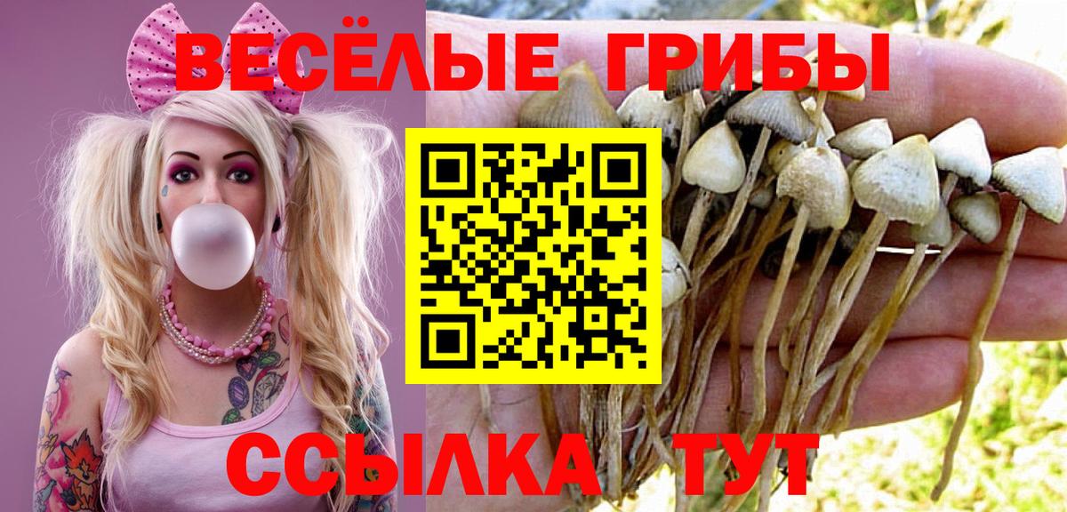 Галлюциногенные грибы ЛСД  Вход с VPN  Краснознаменск 