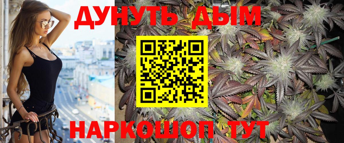 Бошки Шишки семена Краснознаменск